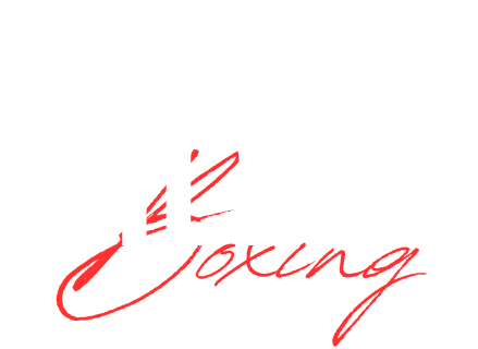 Prevail Boxing